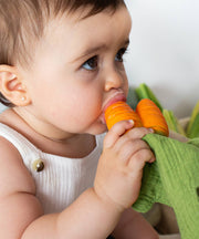 Baby Teether, Carrot